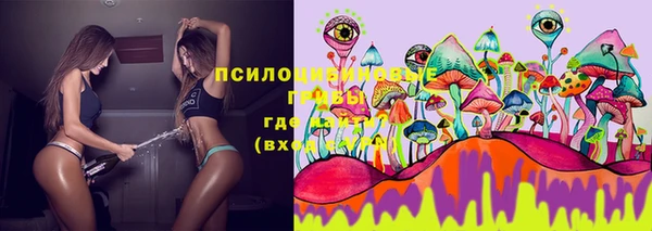 прущая мука Алексин